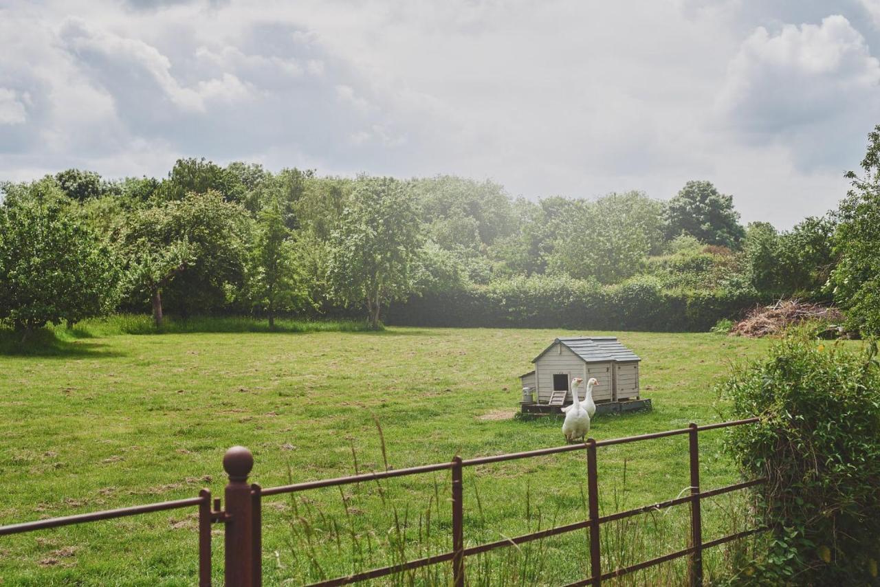 Apple Tree Cottage Beckford Buitenkant foto