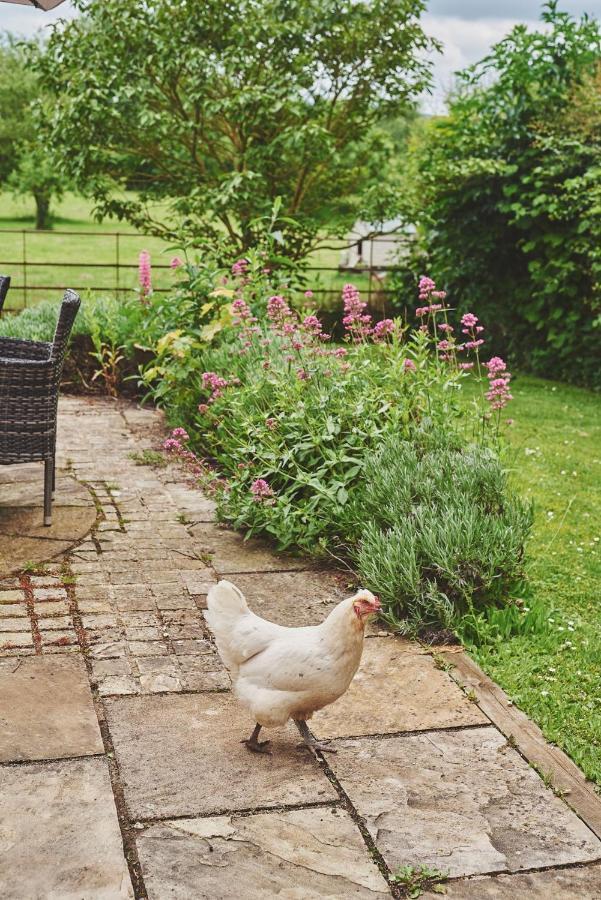 Apple Tree Cottage Beckford Buitenkant foto